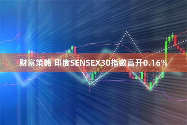 财富策略 印度SENSEX30指数高开0.16%