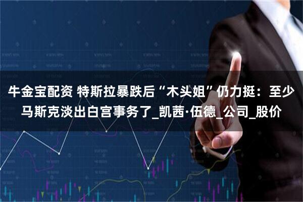 牛金宝配资 特斯拉暴跌后“木头姐”仍力挺：至少马斯克淡出白宫事务了_凯茜·伍德_公司_股价