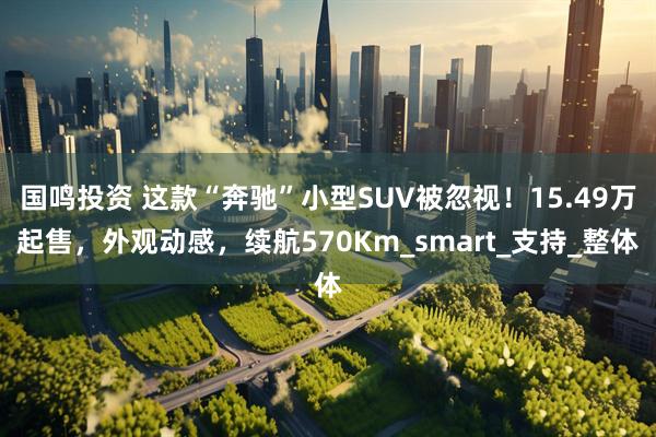 国鸣投资 这款“奔驰”小型SUV被忽视！15.49万起售，外观动感，续航570Km_smart_支持_整体